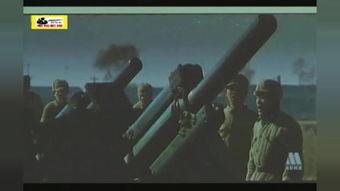 在线观看步兵,揭秘步兵作战的震撼瞬间